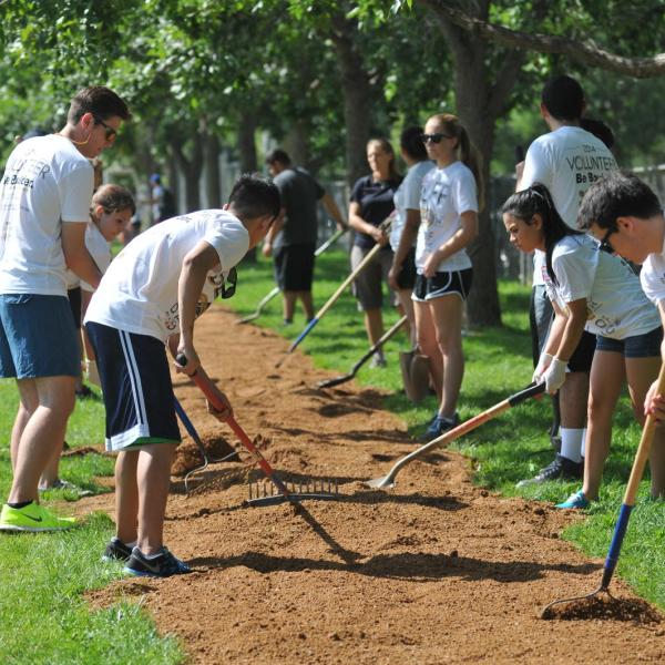 Students volunteering as gardeners