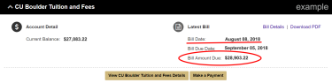 Example of a student account showing the outdated bill amount due because the student made changes to the account.