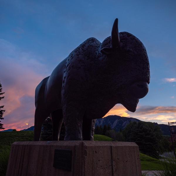 Picture of a Ralphie statue with a sunset in the background