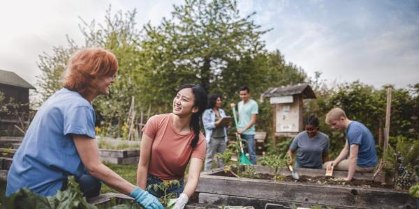 Collaboration while volunteering in the community