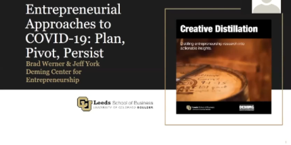 Entrepreneurial Approaches to COVID 19: Plan, Pivot, and Persist