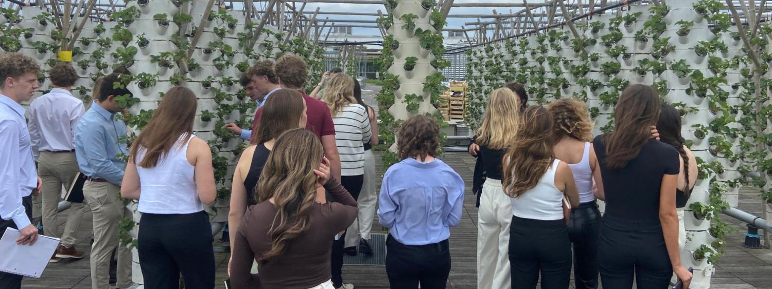 Students tour a rooftop vertical garden in Paris