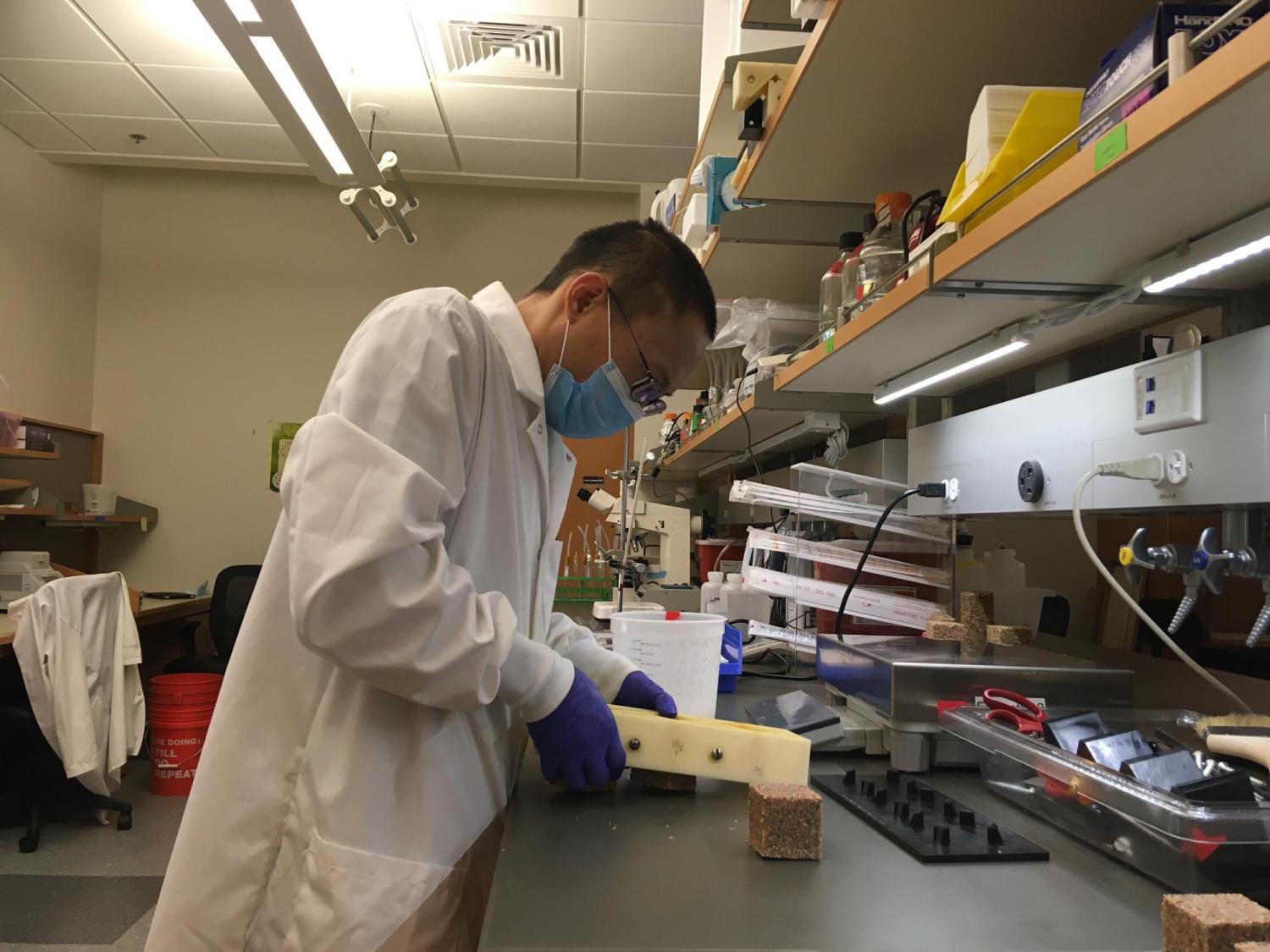 Post-Doc Zhanan Zou demolding biological building material for an ongoing DARPA project