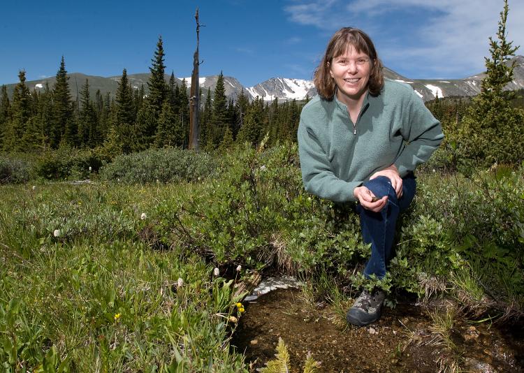 Diane McKnight at the Mountain Research Station for CU-Boulder