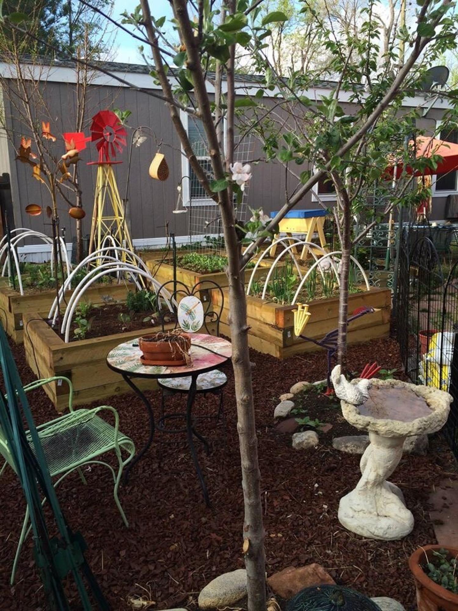 Isabel Sanchez's garden at the Mapleton Mobile Home Park