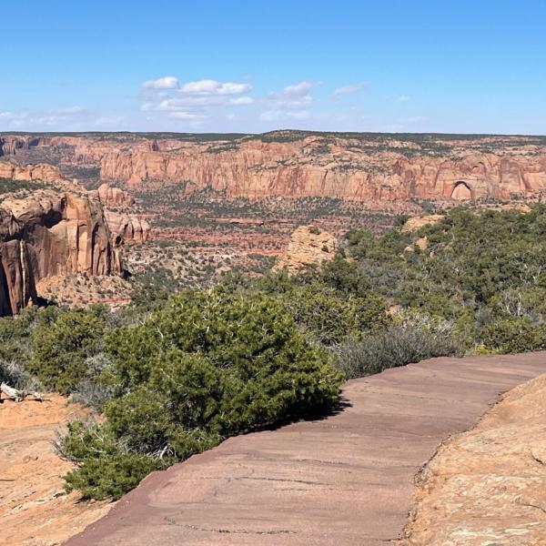 Heading towards the Betatakin lookout at Navajo National Monument.