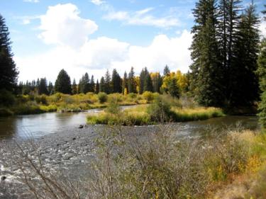 Colorado River Scenery
