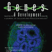 Genes and Development Cover