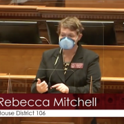 Rebecca Mitchell discusses IQ'er Kate Bubar's research in Georgia House