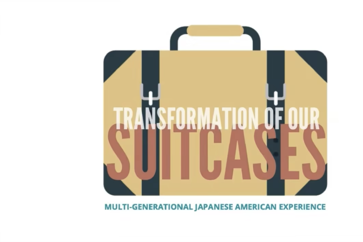 Transformation of Our Suitcases