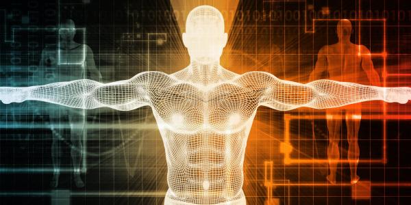 Graphic of a human body wireframe with computerized background