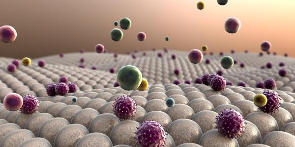 Field of fat and cholesterol cells