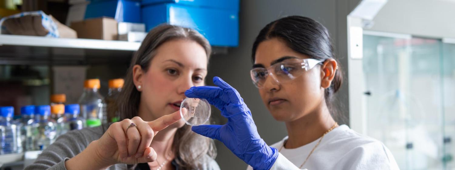 Professor and graduate student examining petri dish in the lab