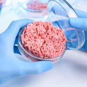 Meat in a petri dish held by a gloved hand in a lab