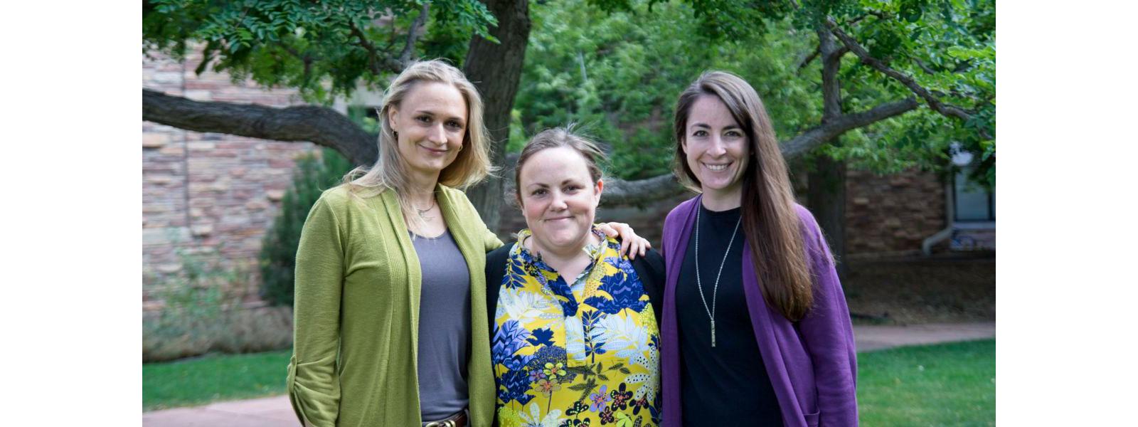 hansen, lemon, dupont, 2014