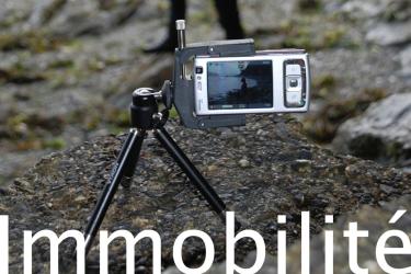 immobilite