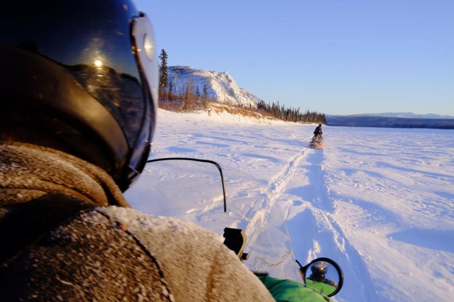 Dogs leadthe way on the 1,000-mile Yukon Quest sled dog race.