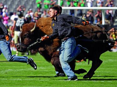 Ralphie I and handlers