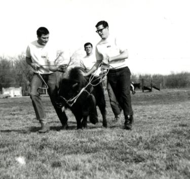 Ralphie I and handlers