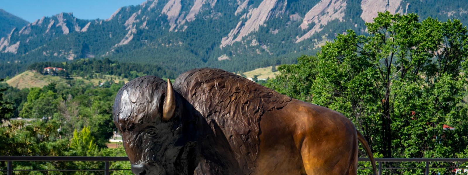 Visiting Artist Series