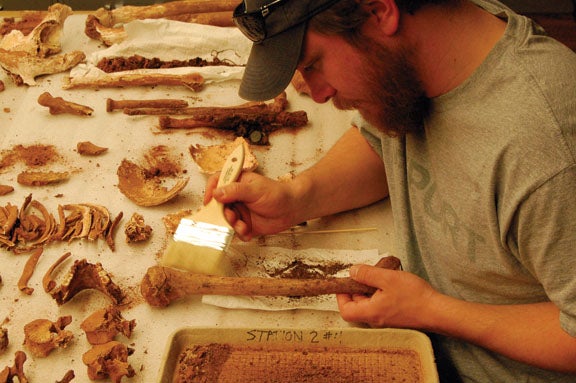 cu archaeologist at work