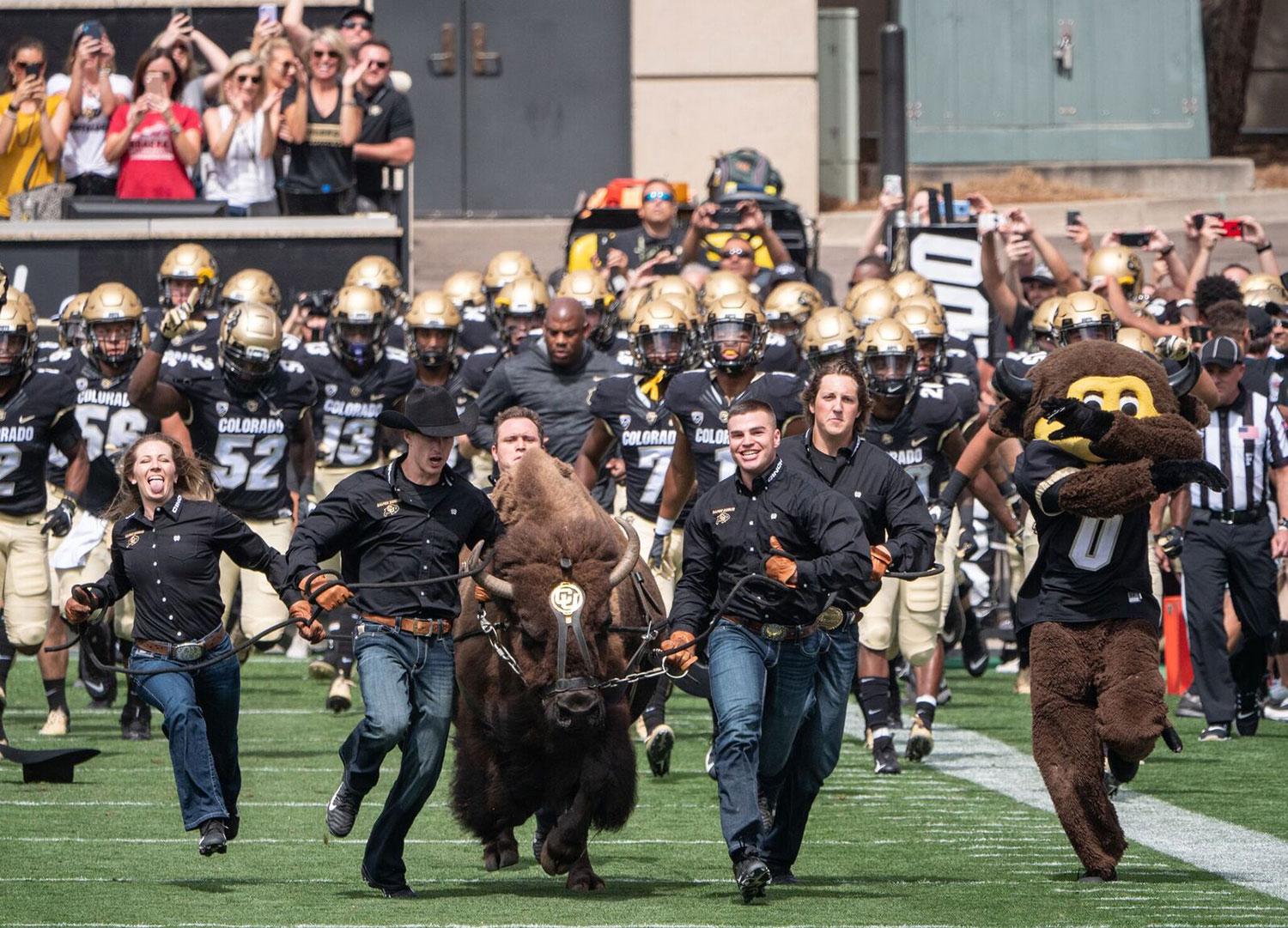 Ralphie Run at Football game