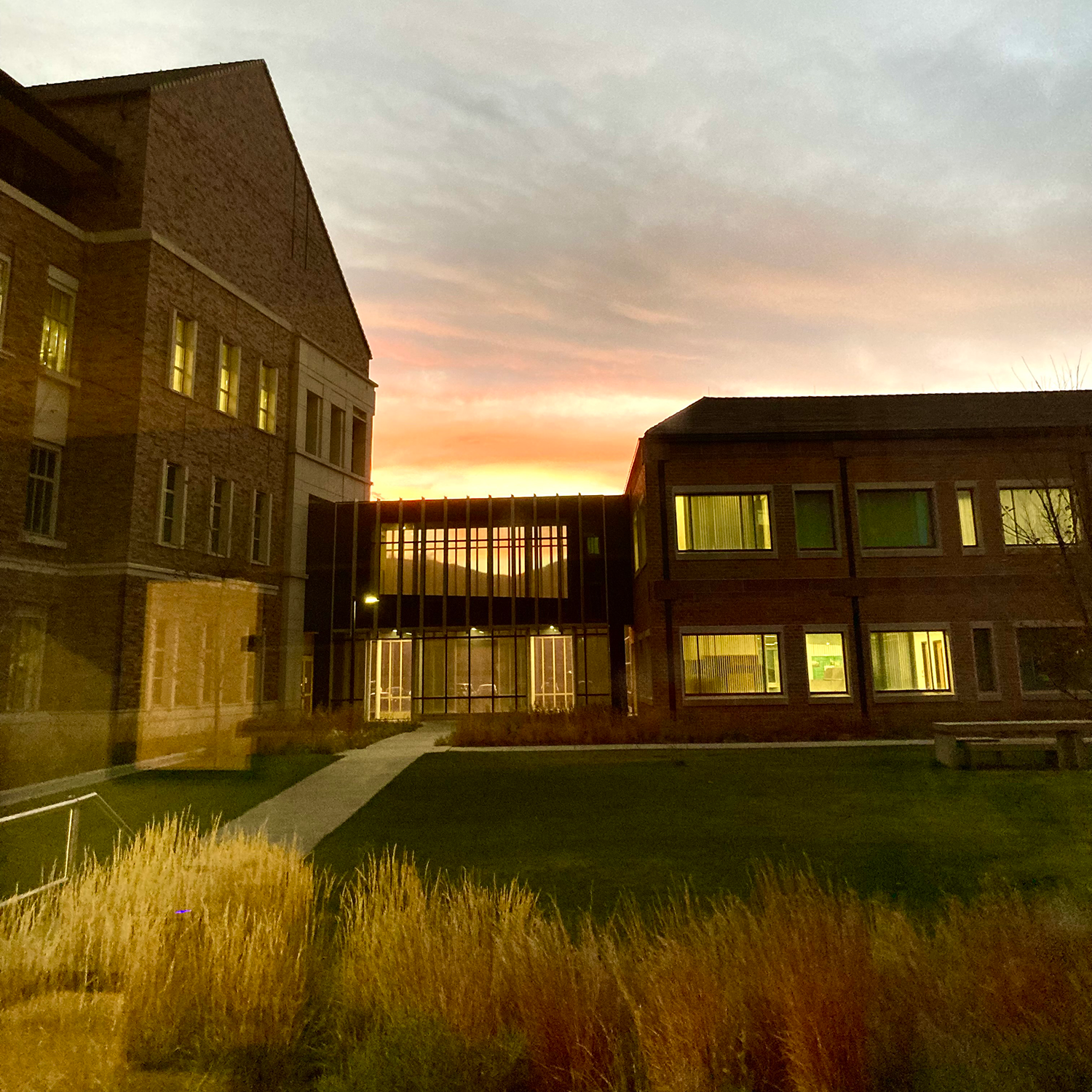CU Boulder campus at sunset