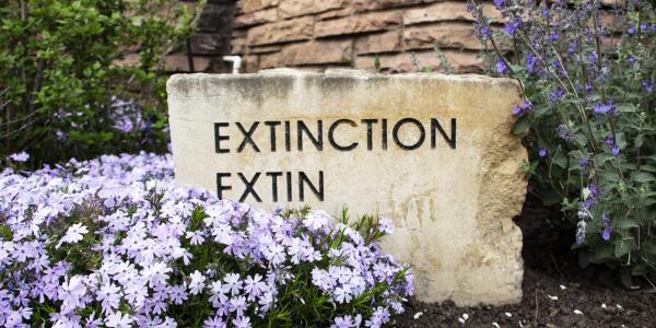 Extinction inscription