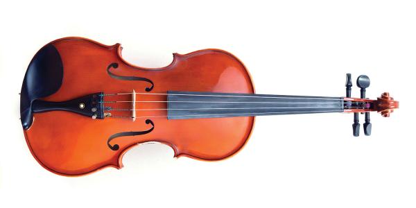 violin