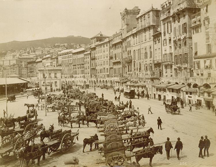 city scene with horses