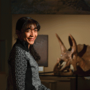 Karen Chin reconstructs the physical and social world of the big dinosaurs.