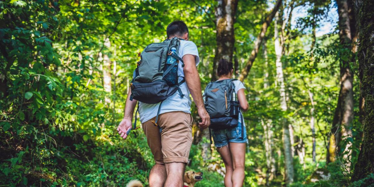 Couple hiking in the woods with a dog