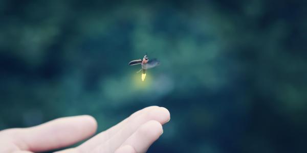 Firefly flies above a child's hand