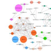 Image shows Co-author network of CT-related articles in Scopus database, created by Mohammed Saqr.