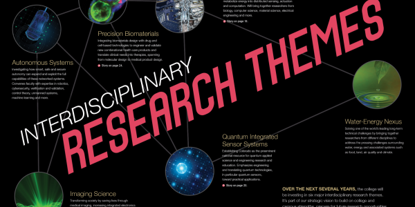 Interdisciplinary Research Themes