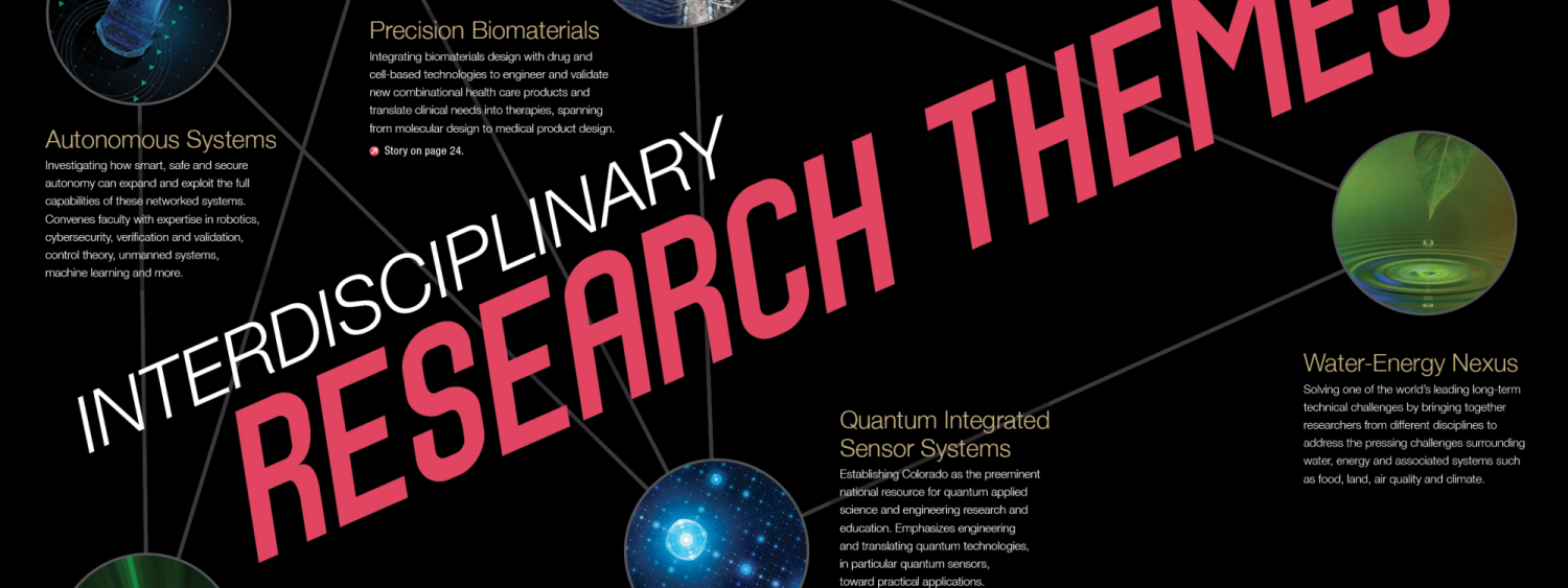 Interdisciplinary Research Themes