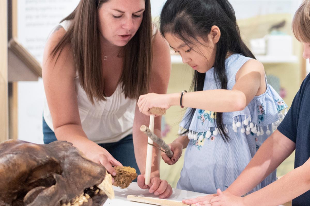 kids looking at skull