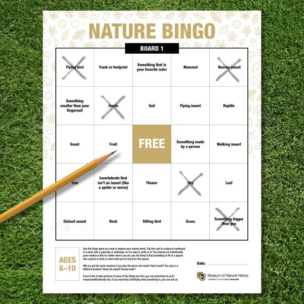 Nature themed bingo board