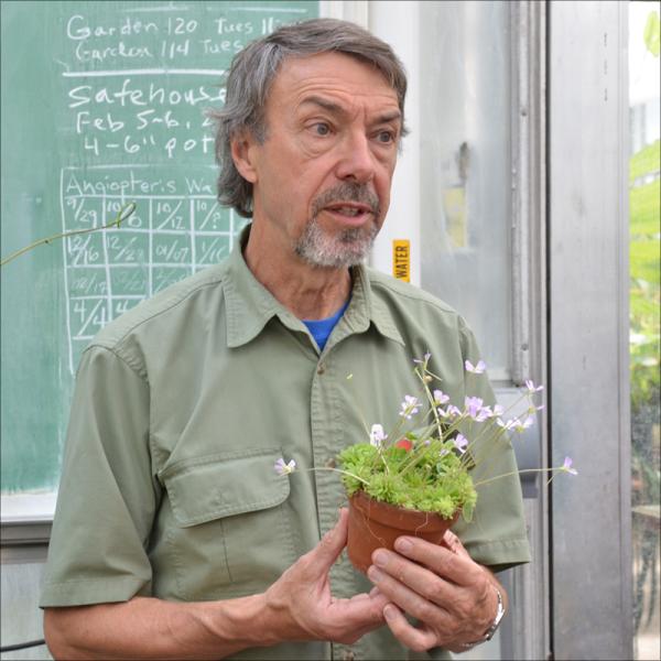 Museum educator in greenhouse