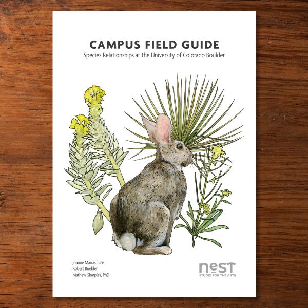 nest 2020 field guide