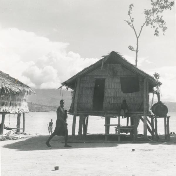 House on stilts on beach