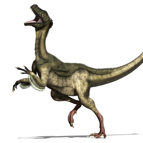 Theropod