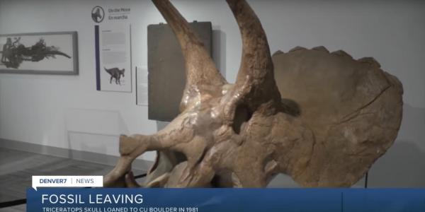 7News screen shot of Paleo Hall with triceratops skull