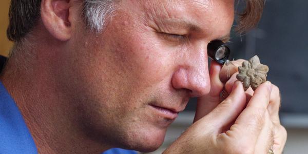 man looking into microscope