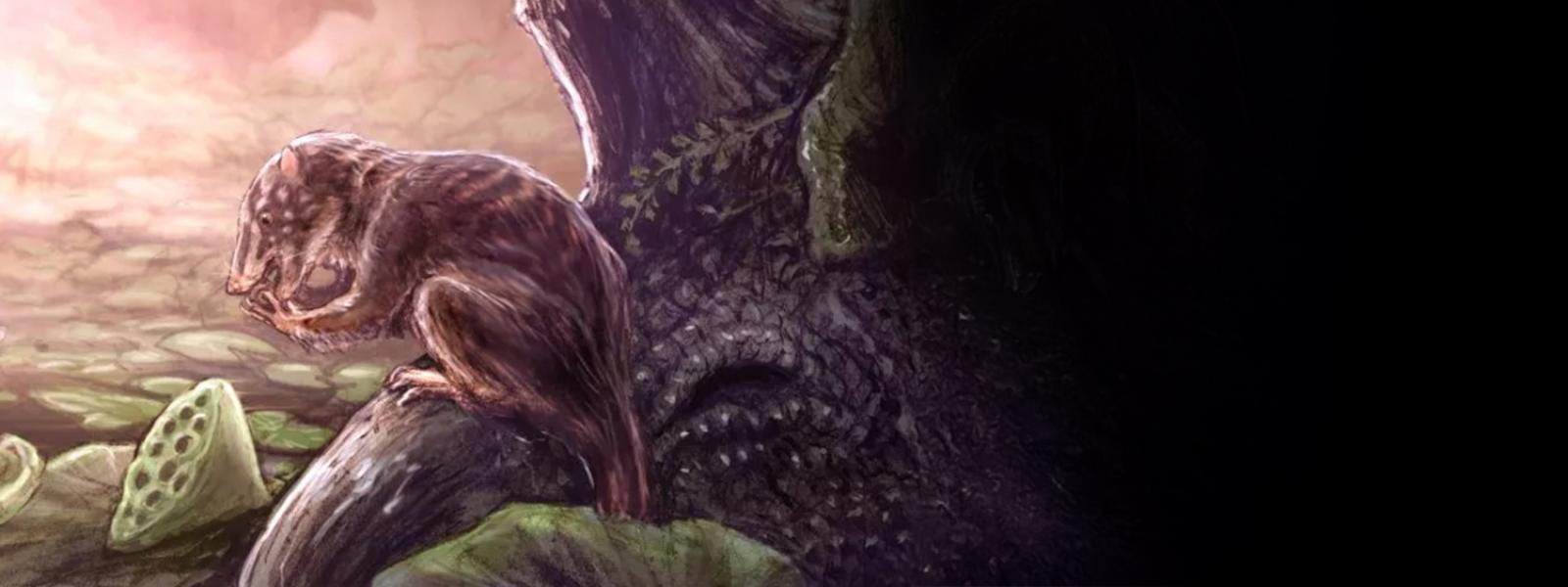 Artistic illustration of possum-like animal with long tail and short fur