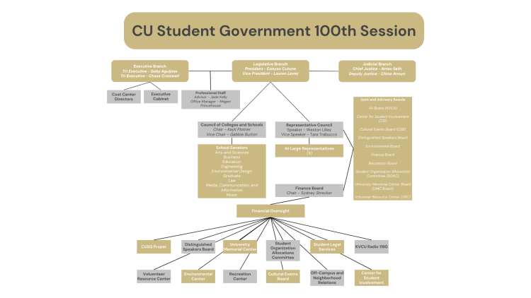 CUSG 100th Session Organization Chart