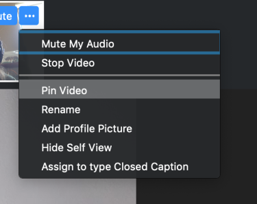 The context menu for a participant showing the "Pin Video" option.