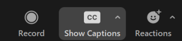 Show captions button is highlighted in the Zoom control bar.