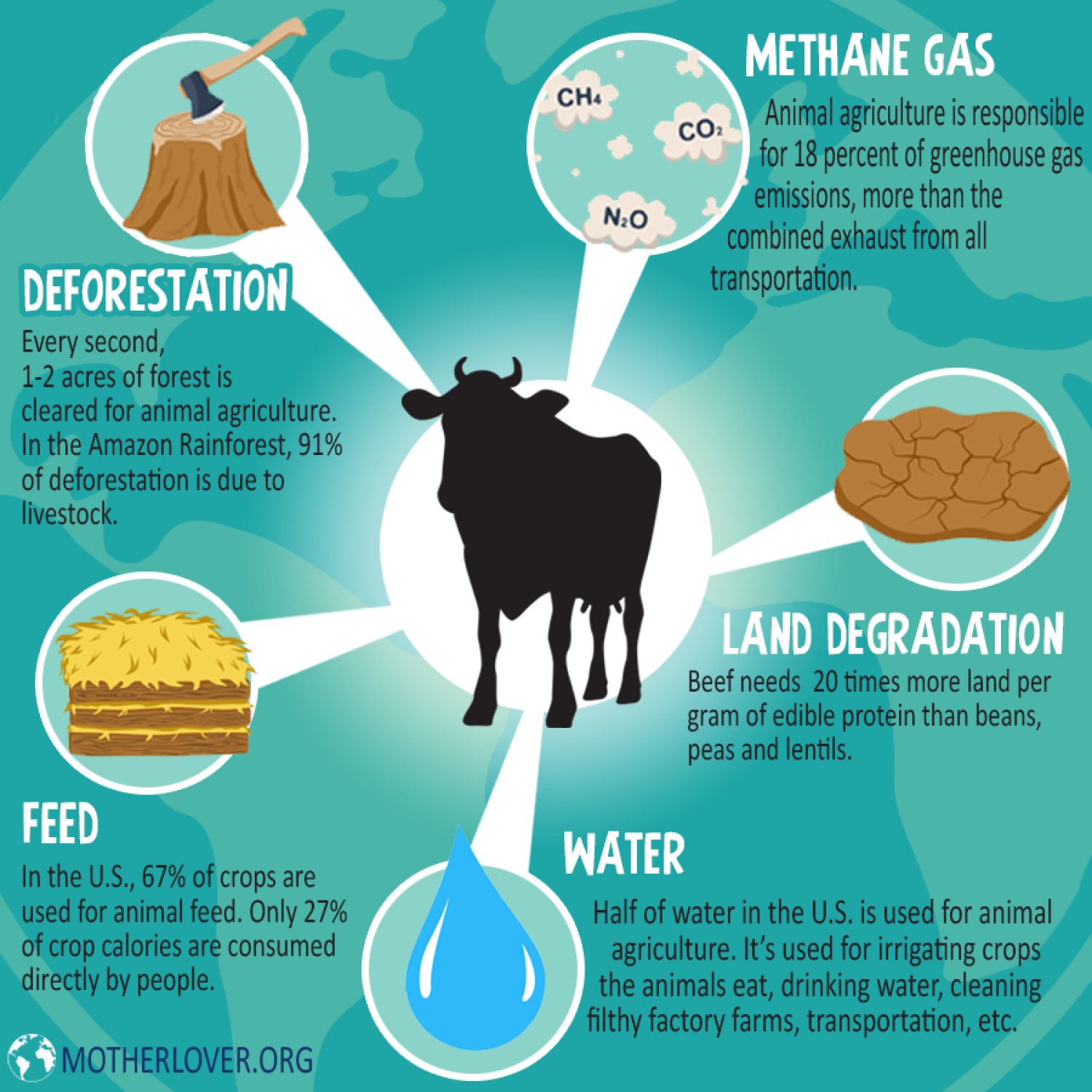 Top 179 + Animal agriculture air pollution