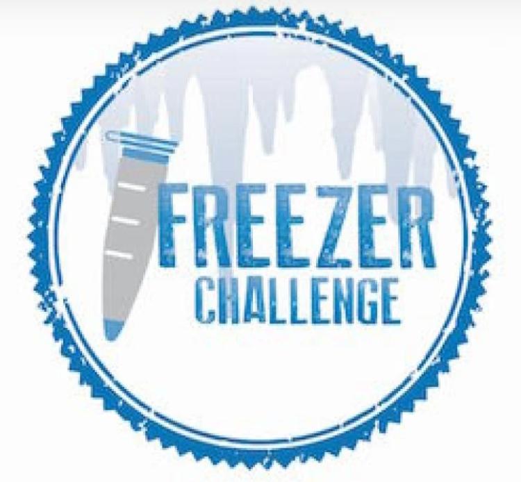 Freezer Challenge graphic